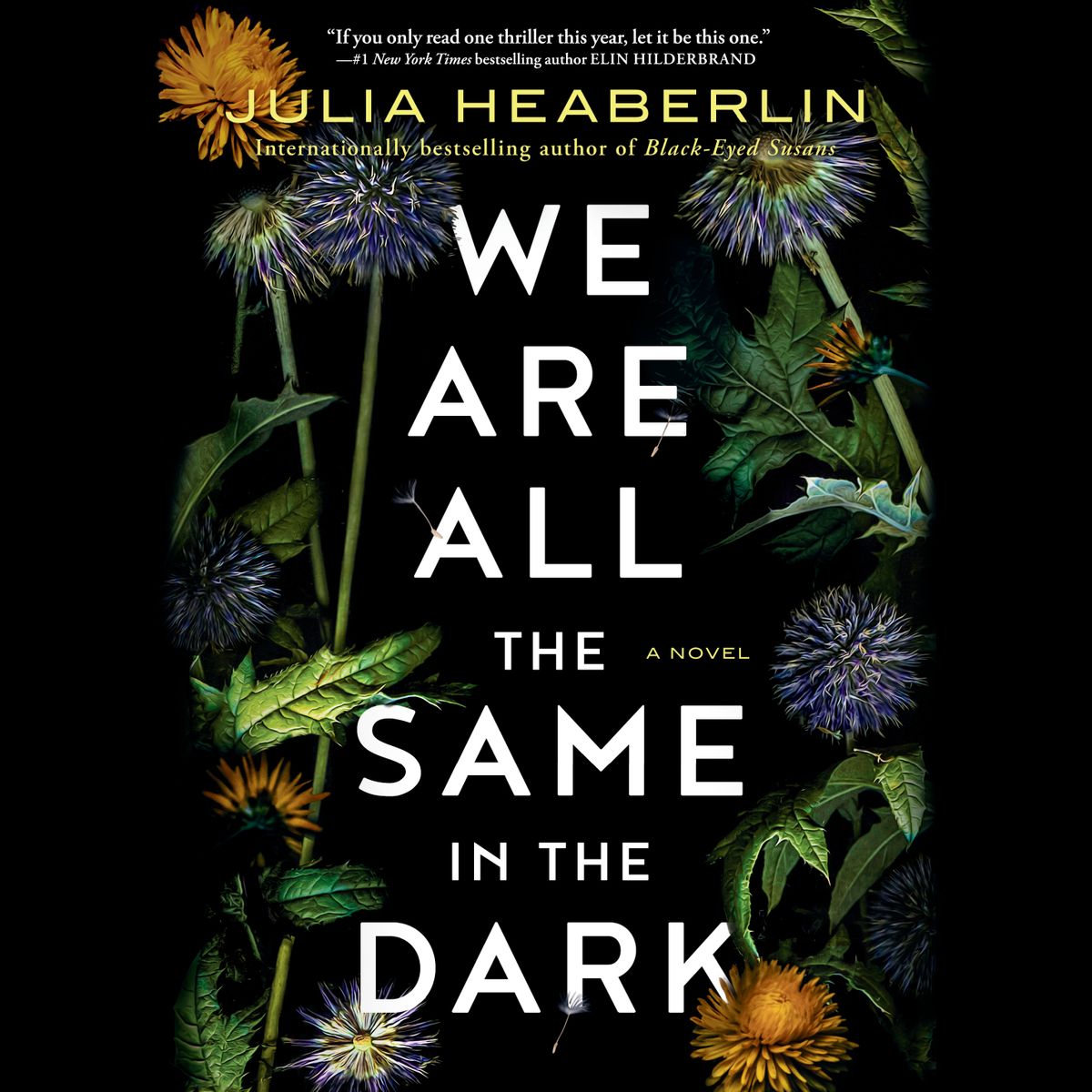 Themes in “We Are All the Same in the Dark” by Julia Heaberlin and Review